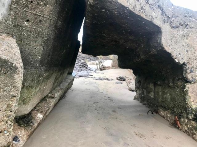 The Sun Trap @ Bridlington'S Bed & Bowl Beach Breaks Exterior photo