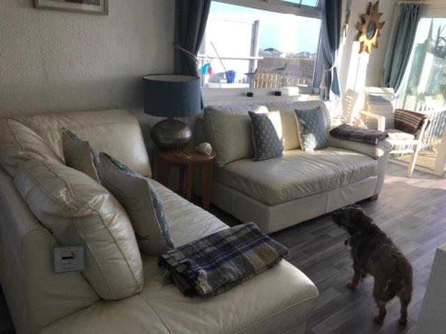 The Sun Trap @ Bridlington'S Bed & Bowl Beach Breaks Exterior photo