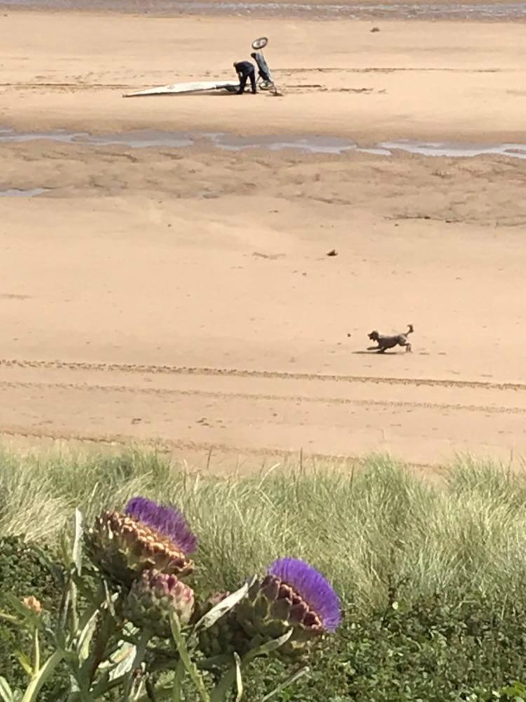 The Sun Trap @ Bridlington'S Bed & Bowl Beach Breaks Exterior photo